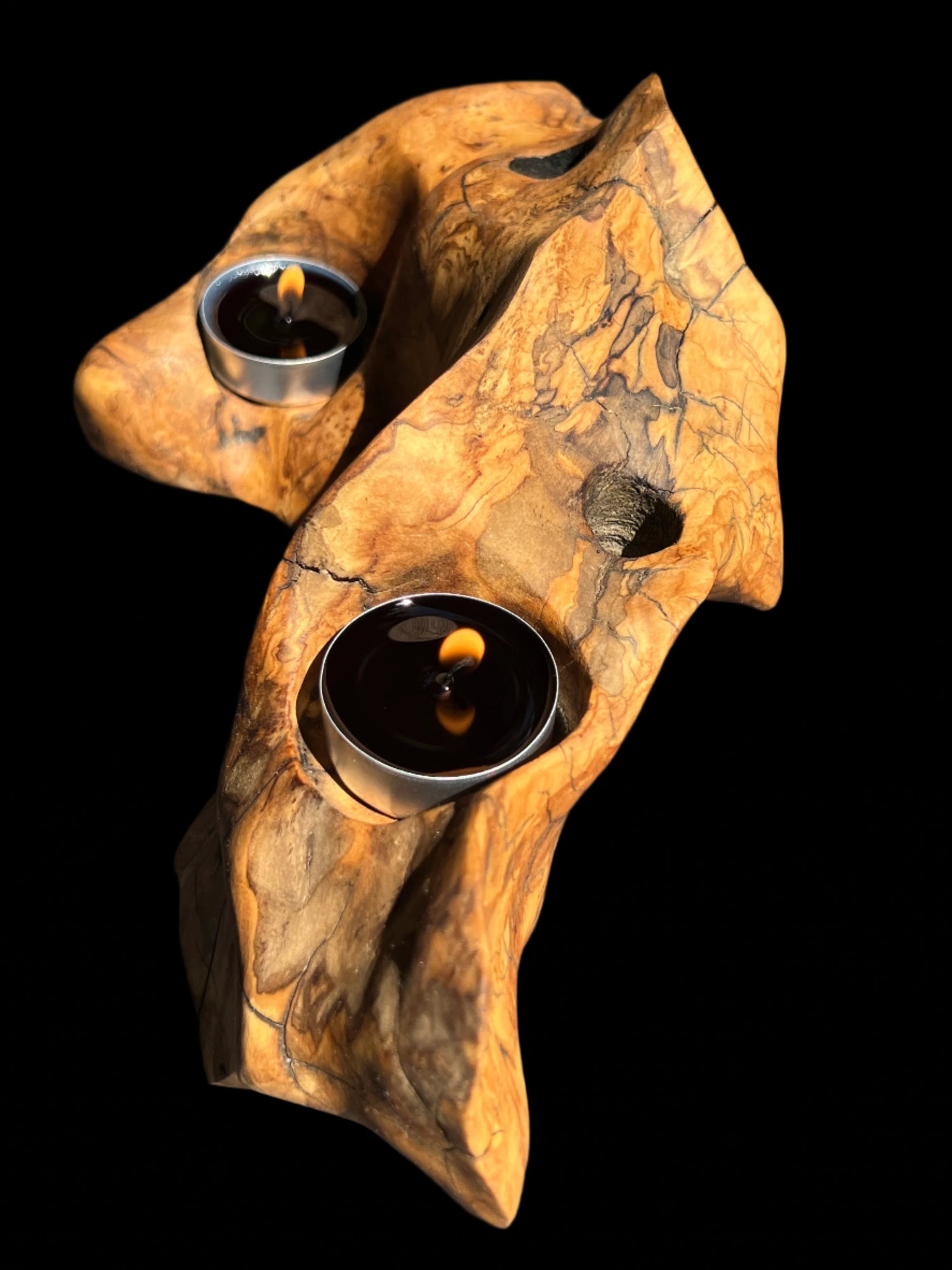 Olive Tree Trunk