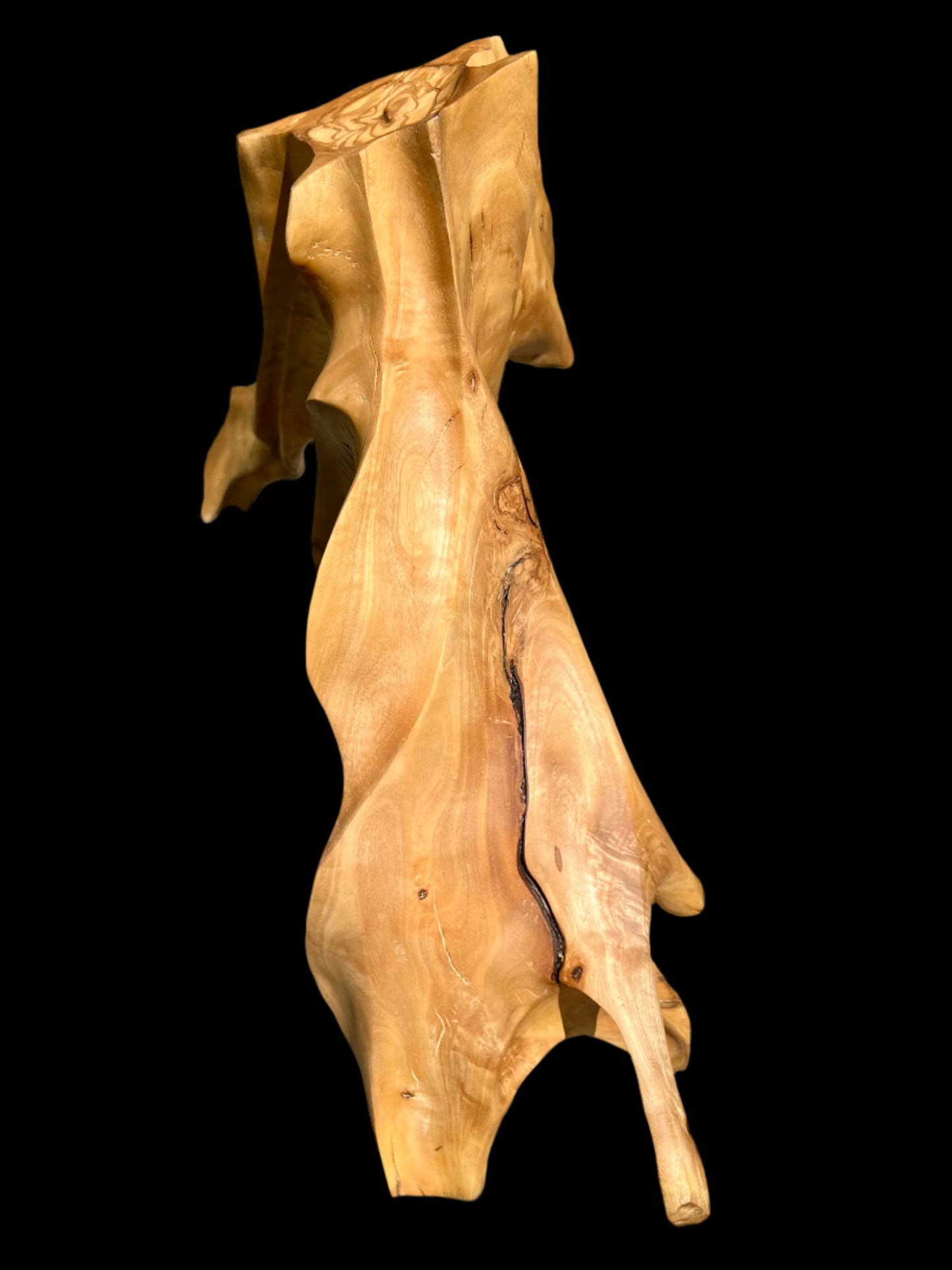 Androgynous Skeleton