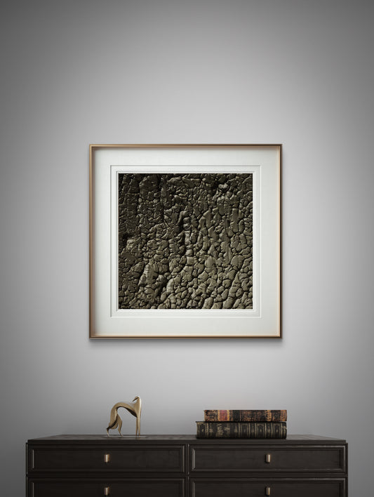 The Dinosaur Skin