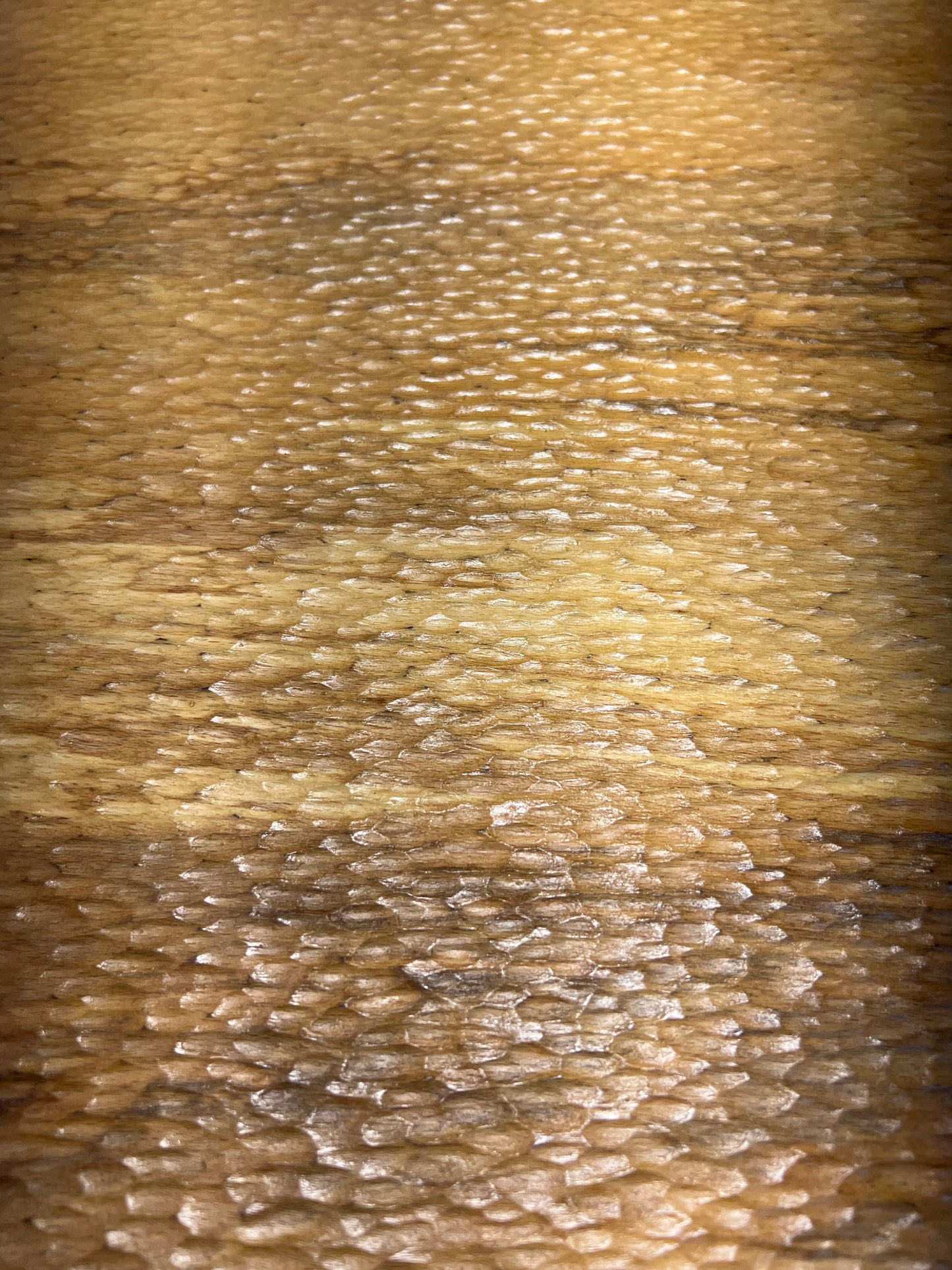 2M