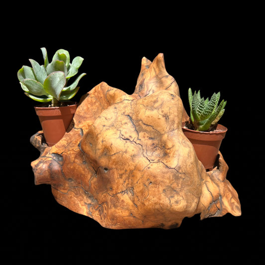Volcano