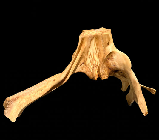 Androgynous Skeleton
