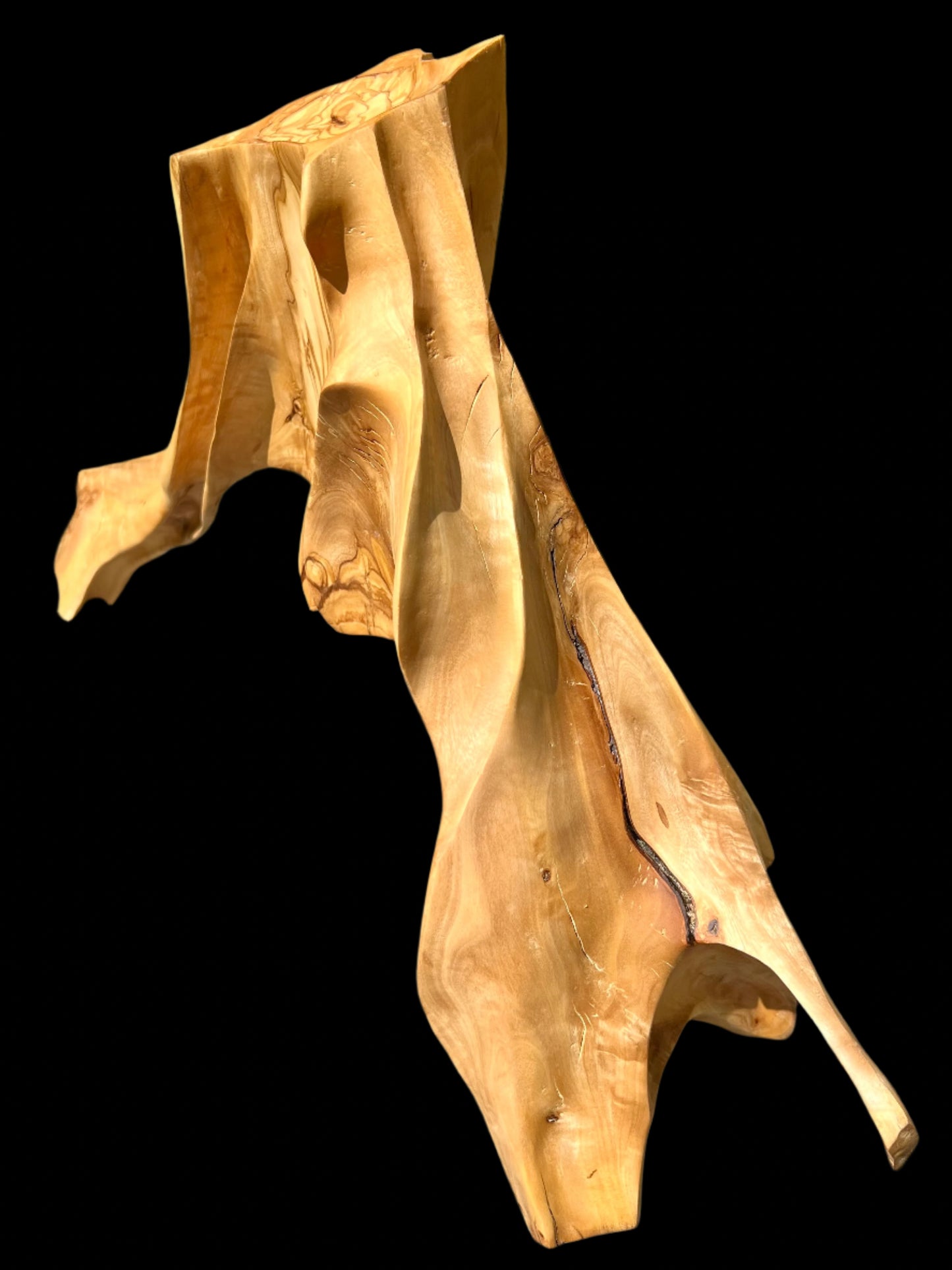 Androgynous Skeleton