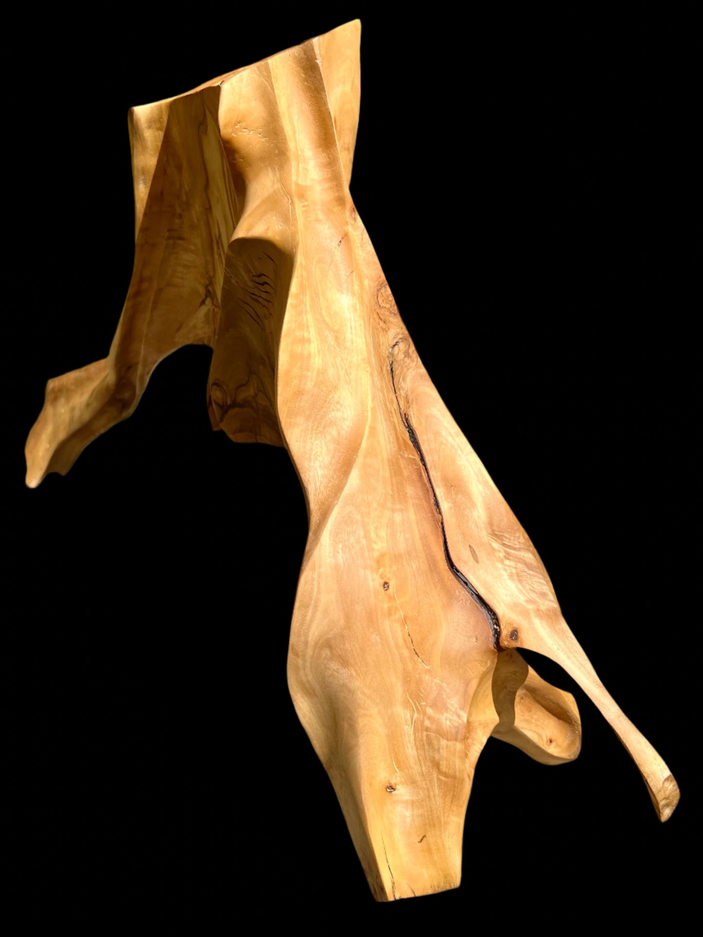 Androgynous Skeleton
